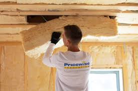 Eco-Friendly or Green Insulation Solutions in Uvalde Estates, TX