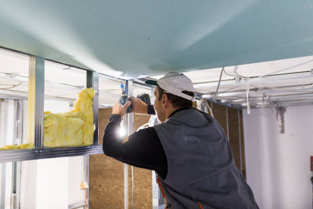 Best Spray Foam Insulation  in Uvalde Estates, TX