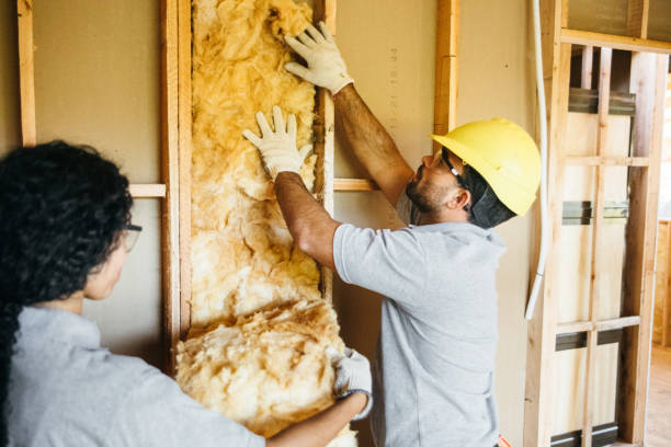 Best Attic Insulation Installation  in Uvalde Estates, TX